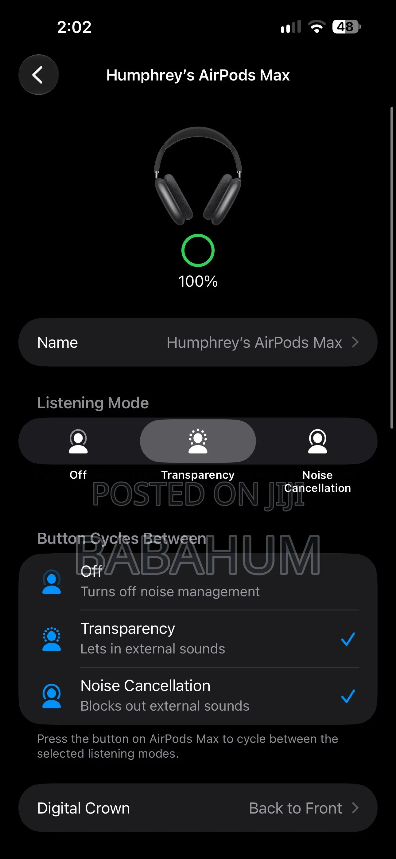 Apple AirPods Max