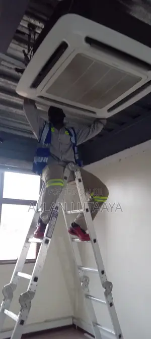 Engineer Allan
