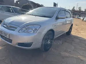 Toyota Allex 2006 Silver