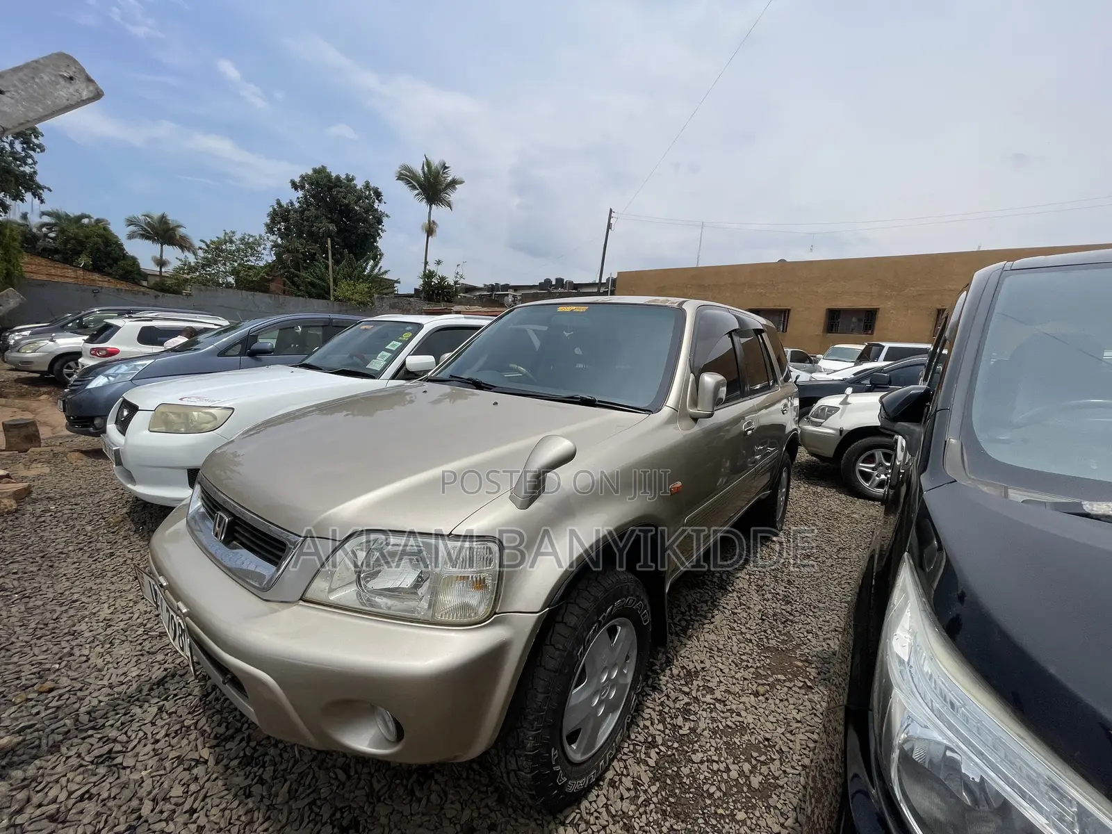 Honda CR-V 2000 Gold