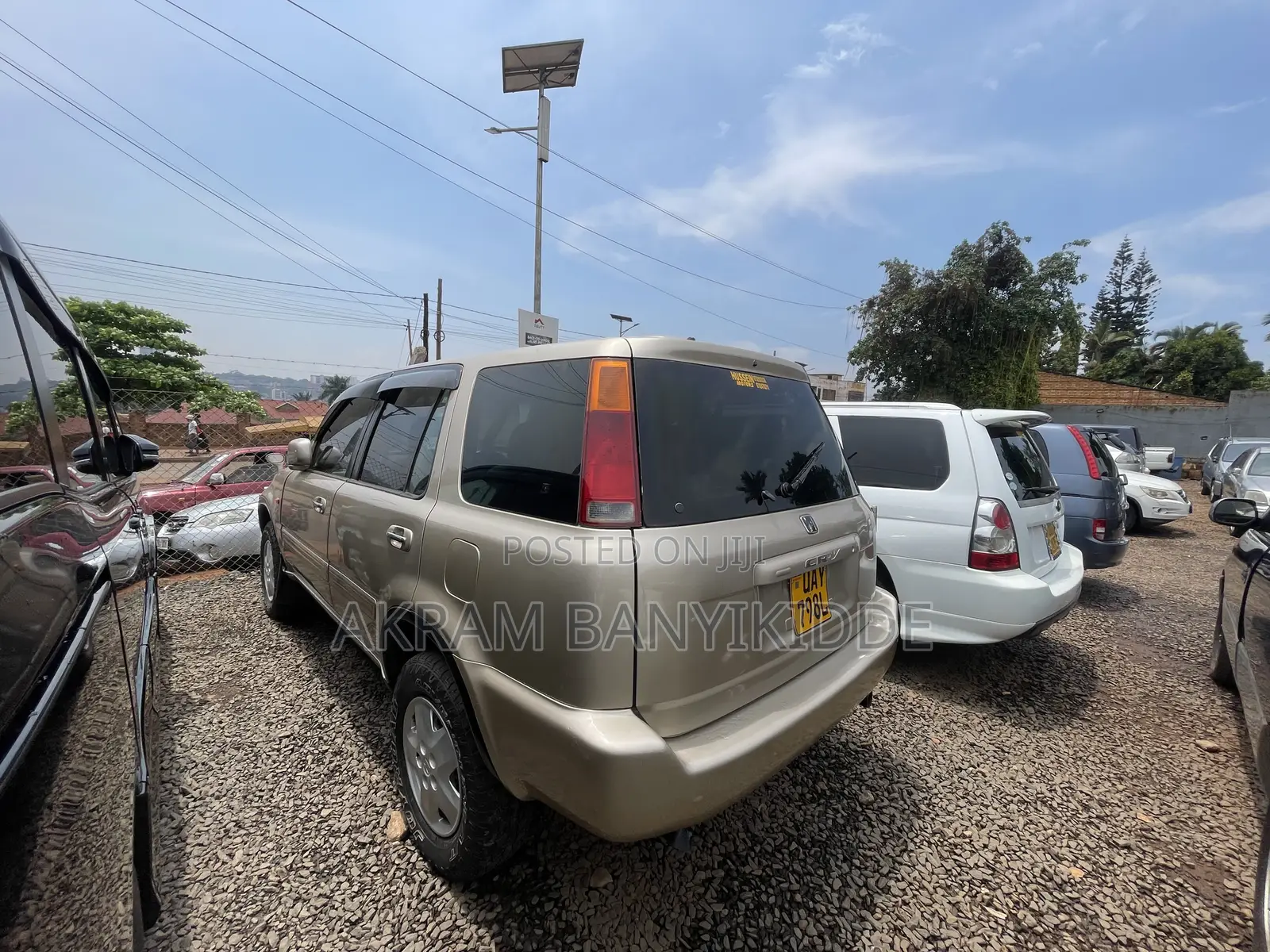 Honda CR-V 2000 Gold