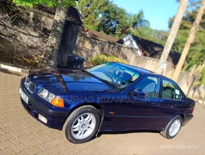 BMW 318i 1995 Blue