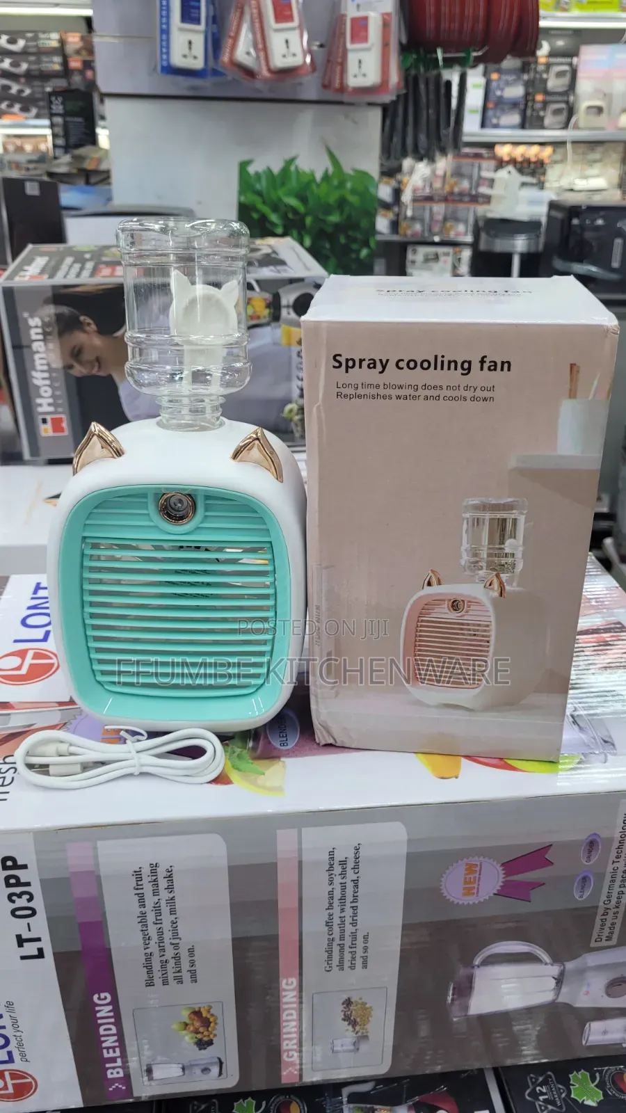 Portable Cooling Fan
