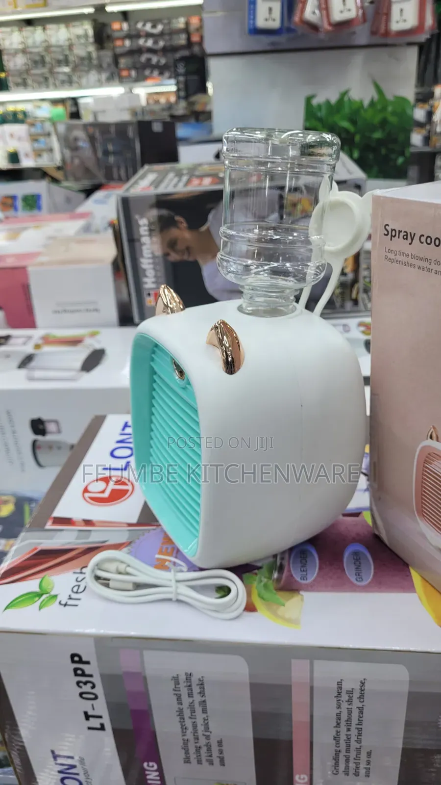 Portable Cooling Fan