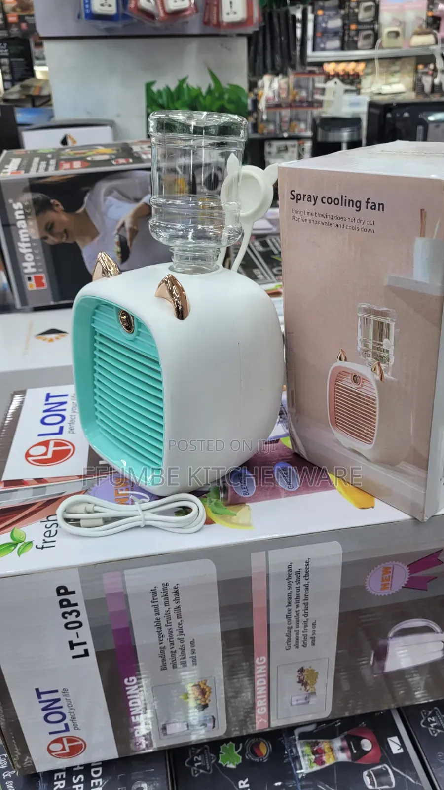 Portable Cooling Fan