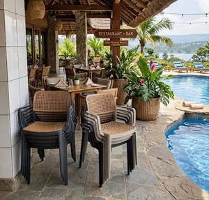 Anax Plastic Plastic Chairs for Bars Dining