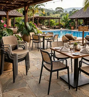 Anax Plastic Plastic Chairs for Bars Dining