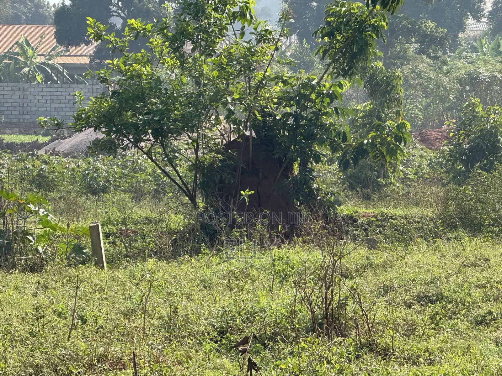 Land for Sale in Kawand