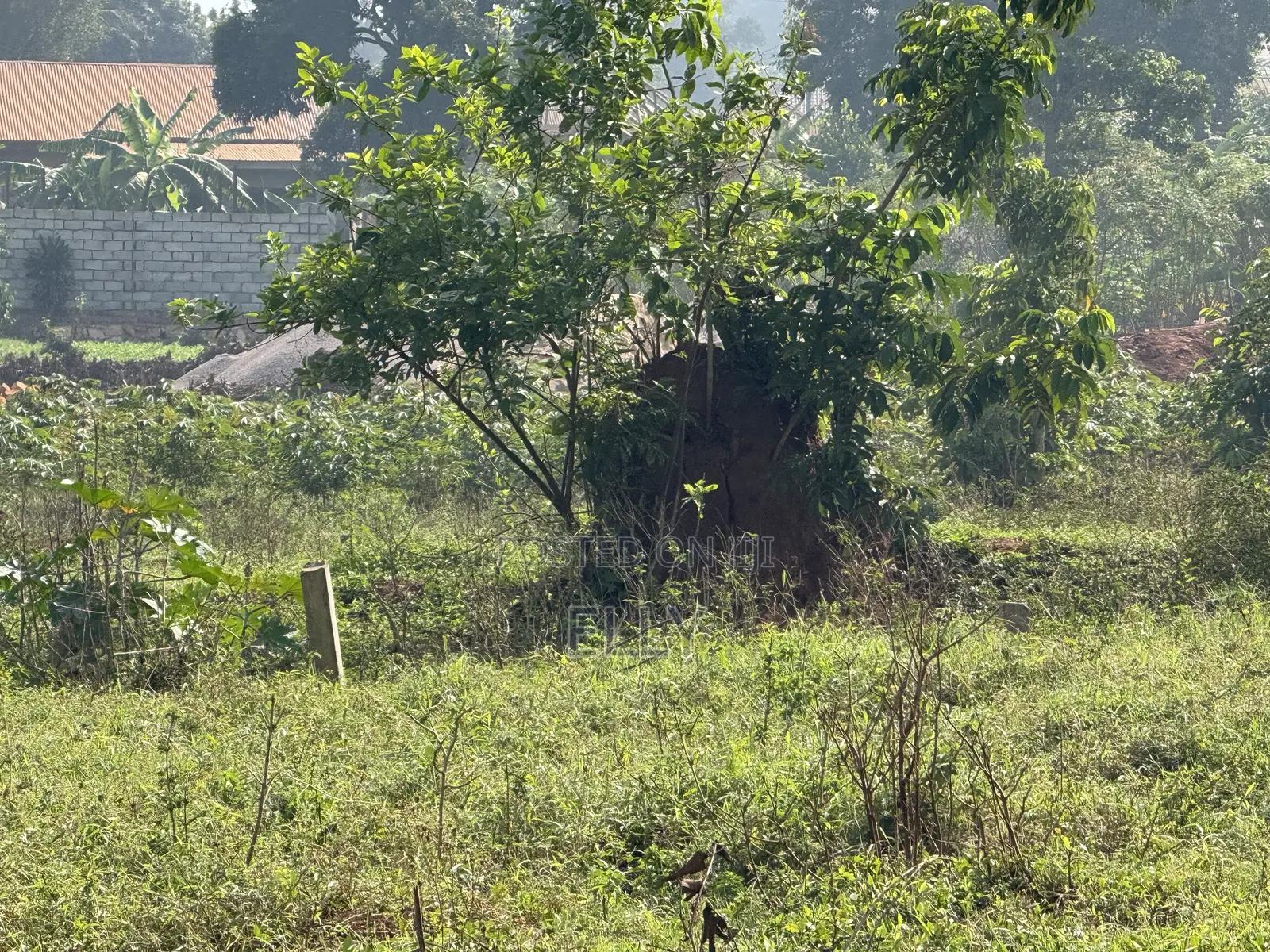 Land for Sale in Kawand