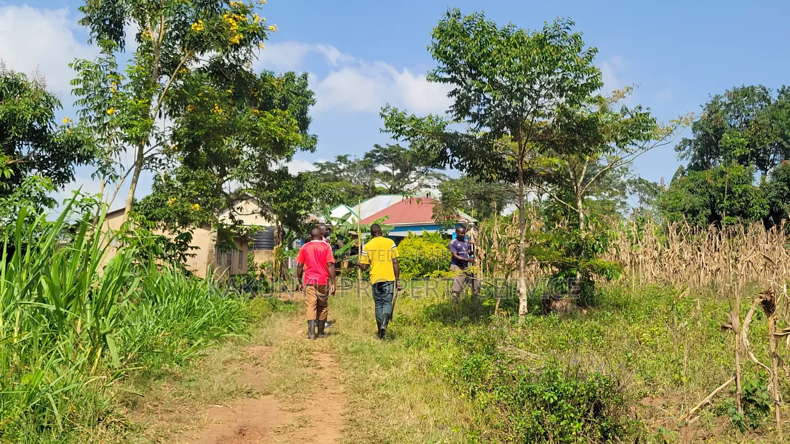 Kakiri Gobero 50×50 Ft at 5M ,50x100 at 9m