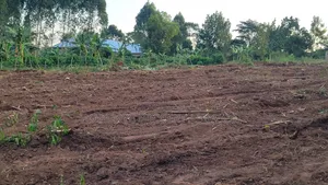 Kakiri Gobero 50×50 Ft at 5M ,50x100 at 9m