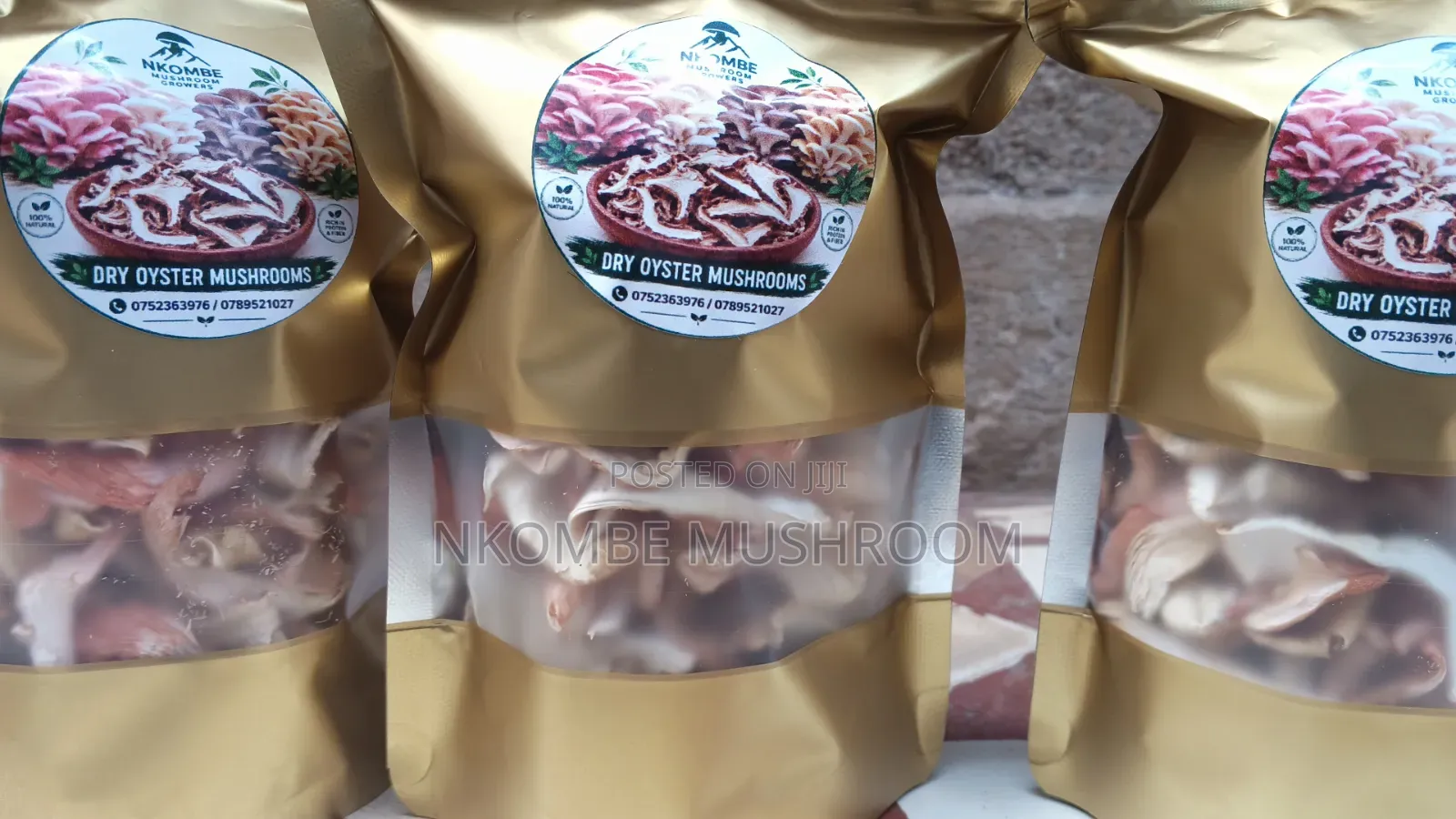 Dried Oyster Mushrooms