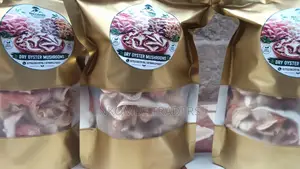 Dried Oyster Mushrooms