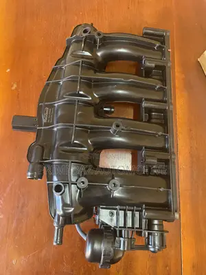 VW Tiguan Manifold