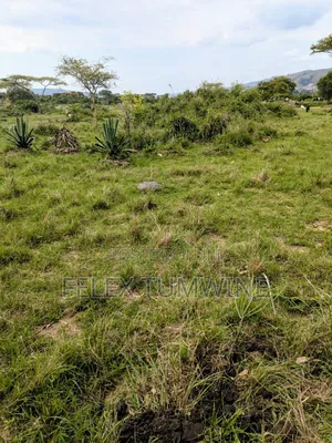 1 Tittled Acre - Zolobwe