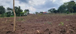 Kakiri Gobero 5M Plots