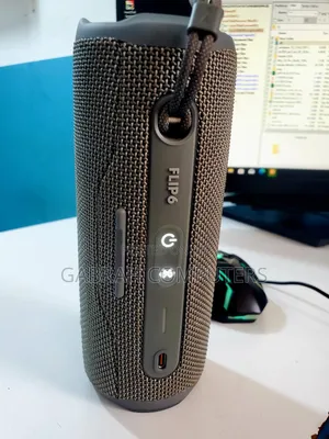 JBL Flip 6