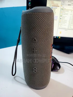 JBL Flip 6