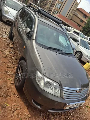Toyota Corolla Fielder 2008 Gray