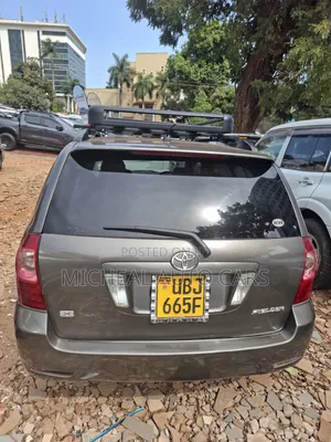 Toyota Corolla Fielder 2008 Gray