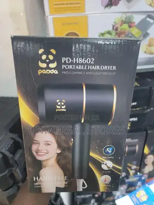 Pd-H8602 Portable Hair Dryer