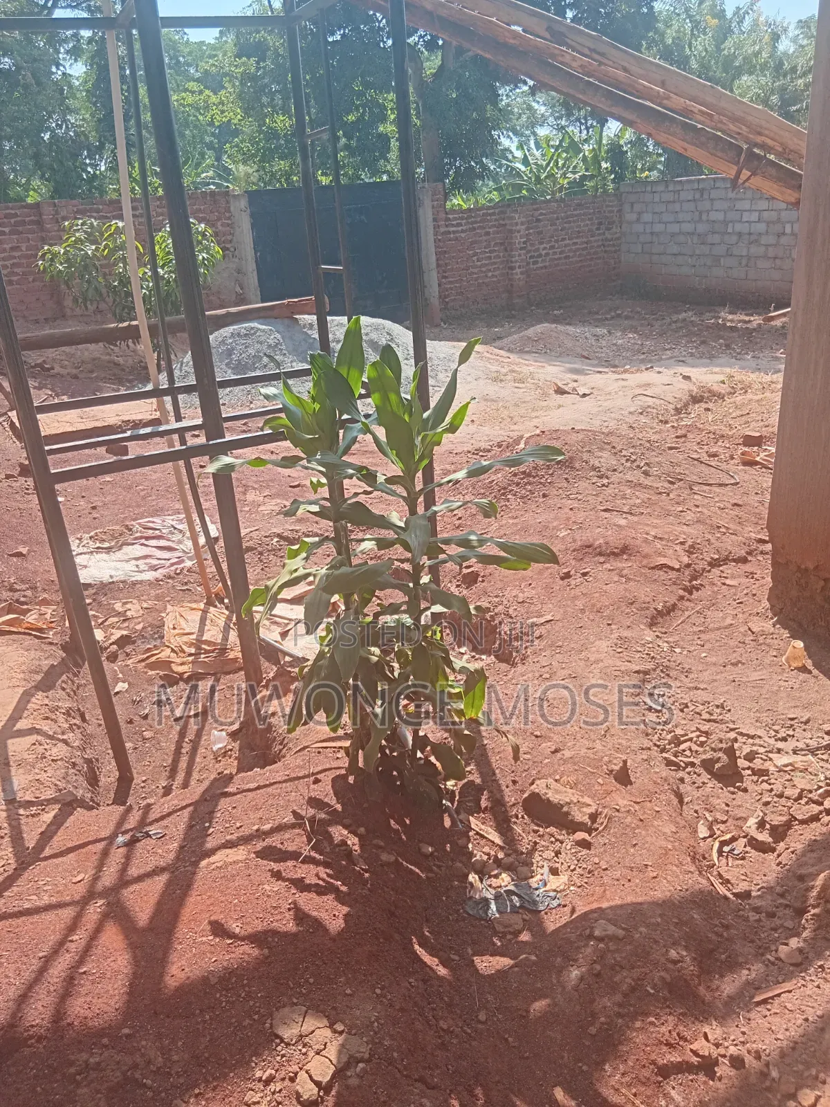 3bdrm Bungalow in Katikamu, Wobulenzi TC for sale
