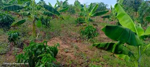 Commercial 1 Acre for Sale With a Ready Title