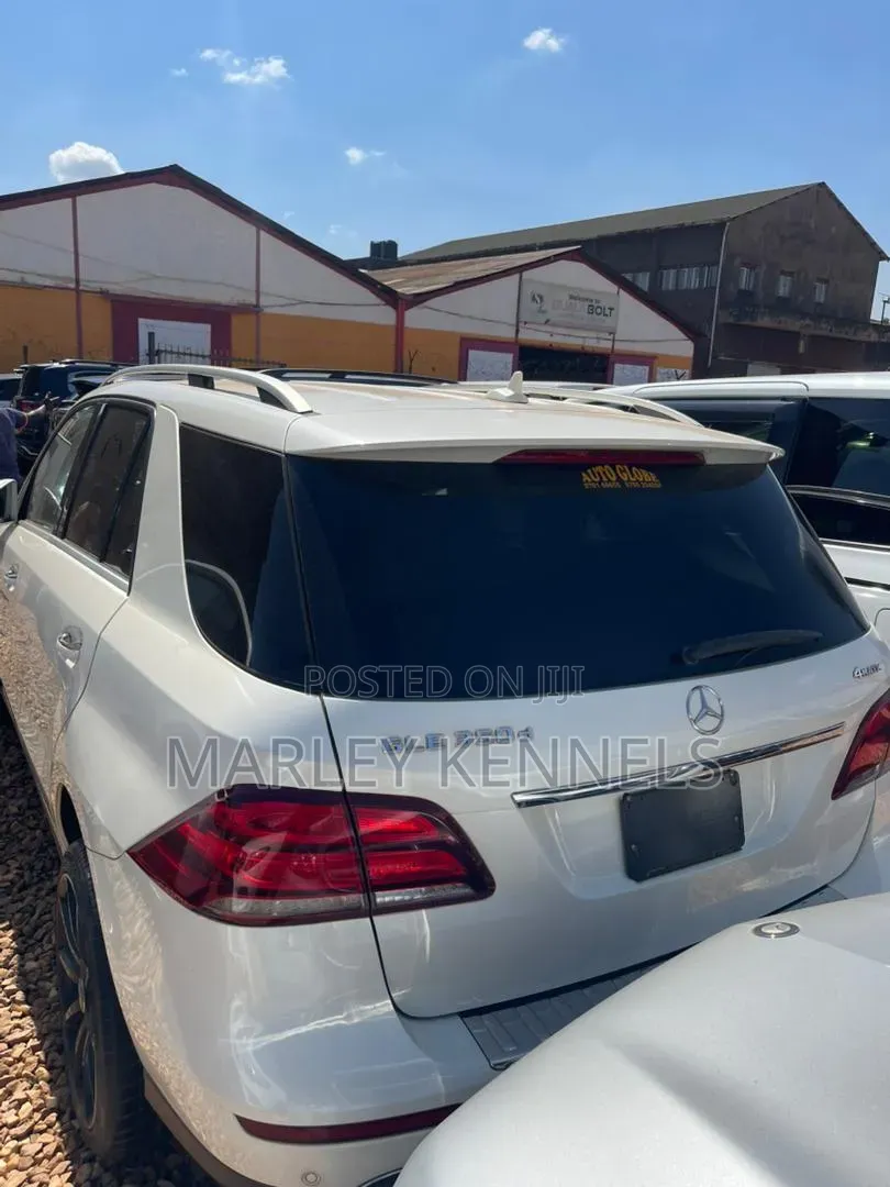 Mercedes-Benz GLE-Class GLE 350d 4MATIC 2017 White