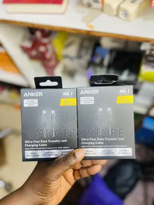 Anker Prime Thunderbolt 4 Cable (3.3 Ft)
