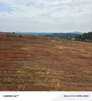  Plots for Sale – Bujjuko Estates 