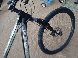 Mountain Bike Size 29 Tragen Brand From Japan