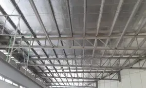 Heat Proof Foam/Heat Insulation ,Polynum /Insulator )
