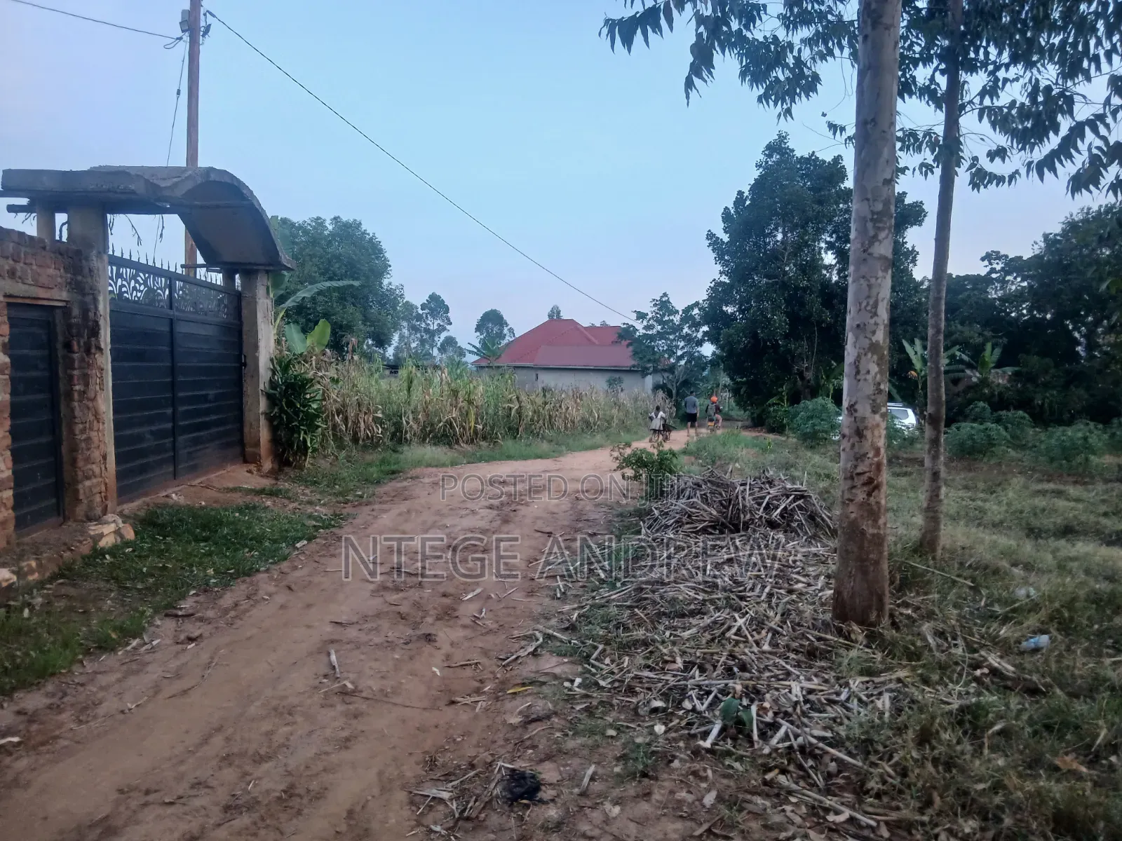 Plot for Sale