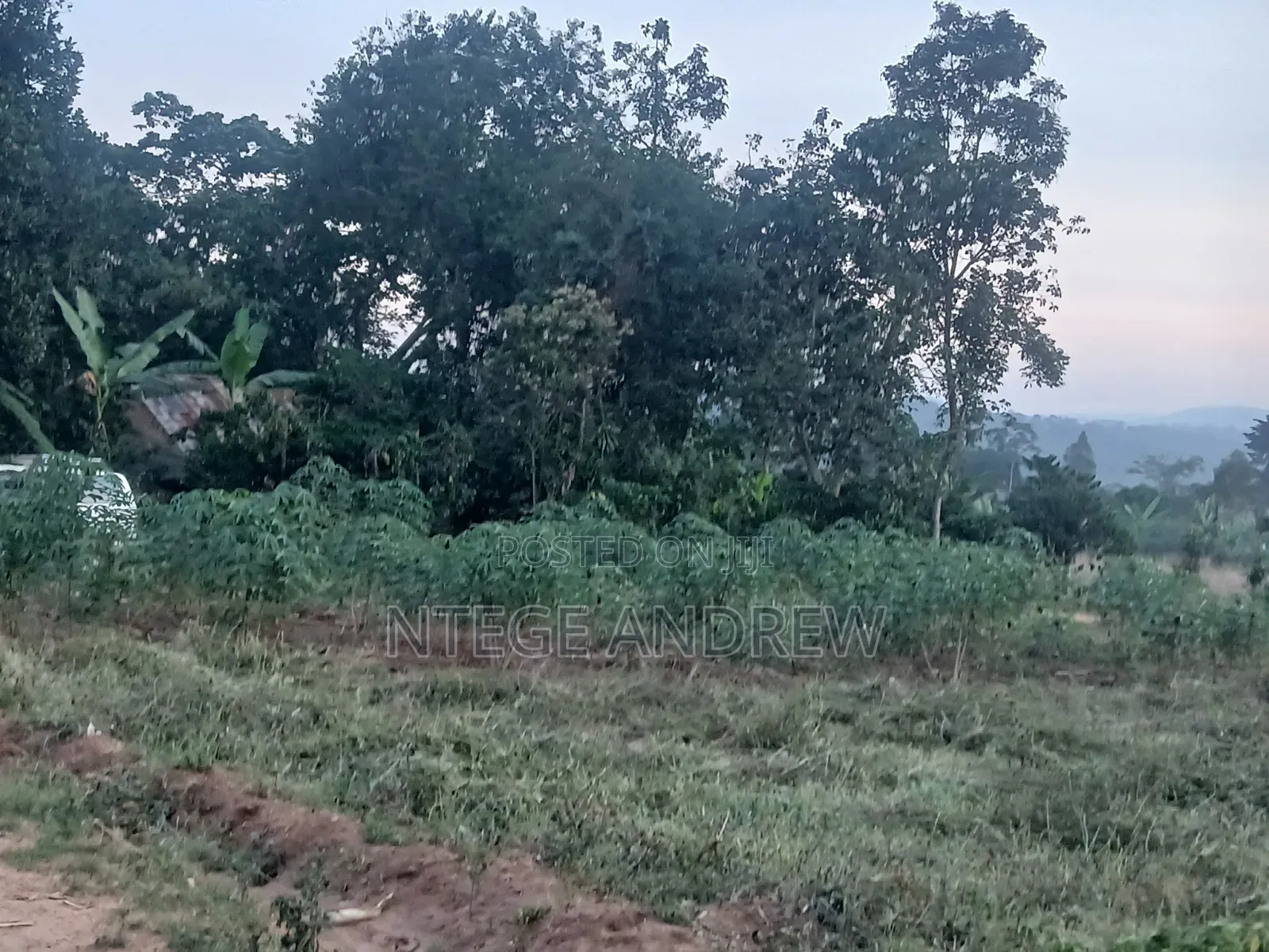 Plot for Sale