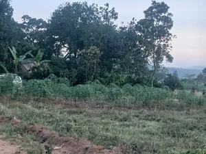 Plot for Sale