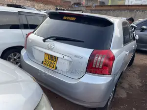 Toyota Allex 2006 Silver