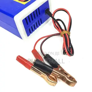 100A Microcomputer LCD Smart Car Battery Charger ( 12V 24V)