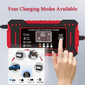 12V Intelligent Pulse Repair Battery Charger