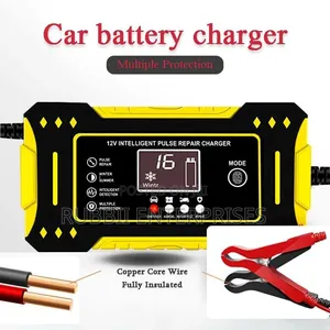 12V Intelligent Pulse Repair Battery Charger