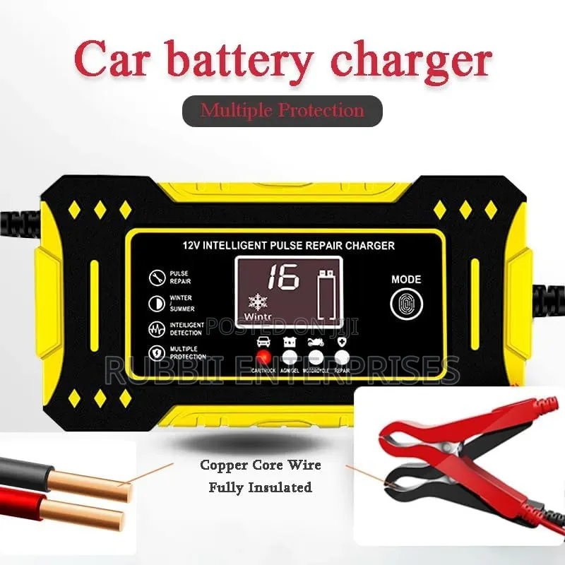 12V Intelligent Pulse Repair Battery Charger