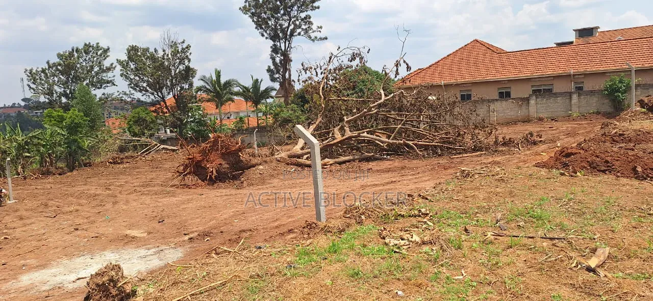 Land for Sale With a Ready Title