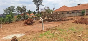 Land for Sale With a Ready Title