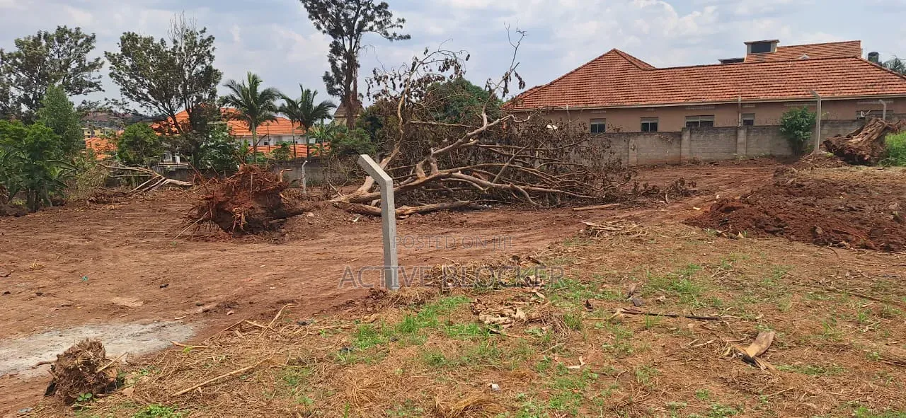 Land for Sale With a Ready Title