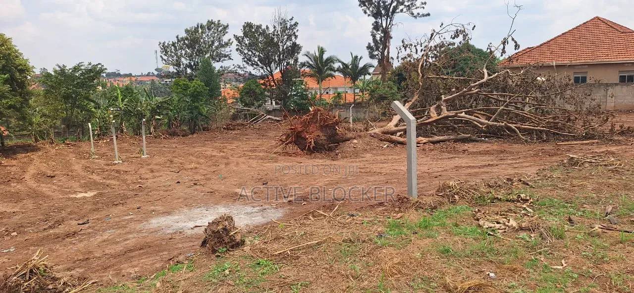 Land for Sale With a Ready Title