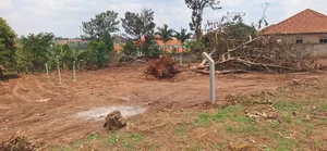 Land for Sale With a Ready Title