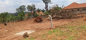 Land for Sale With a Ready Title