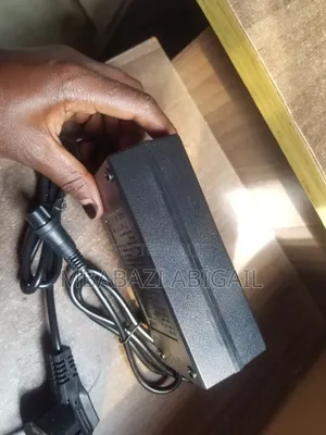Hoverboards Chargers