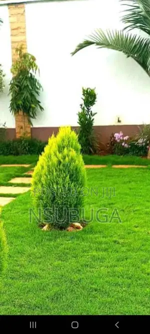 Compound Designing