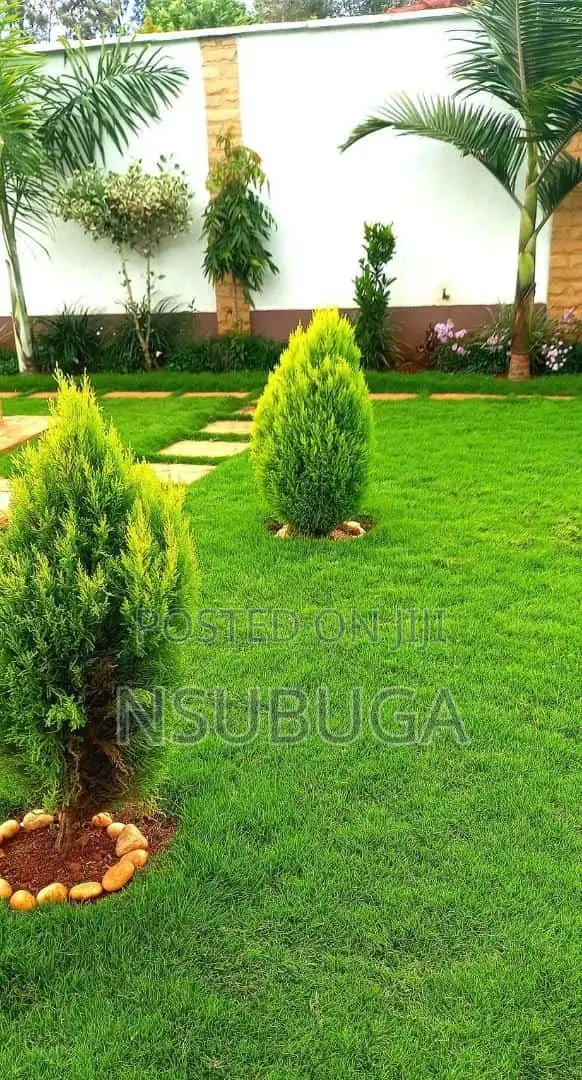 Compound Designing