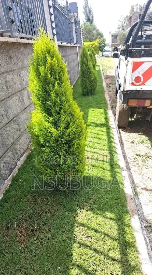 Compound Designing
